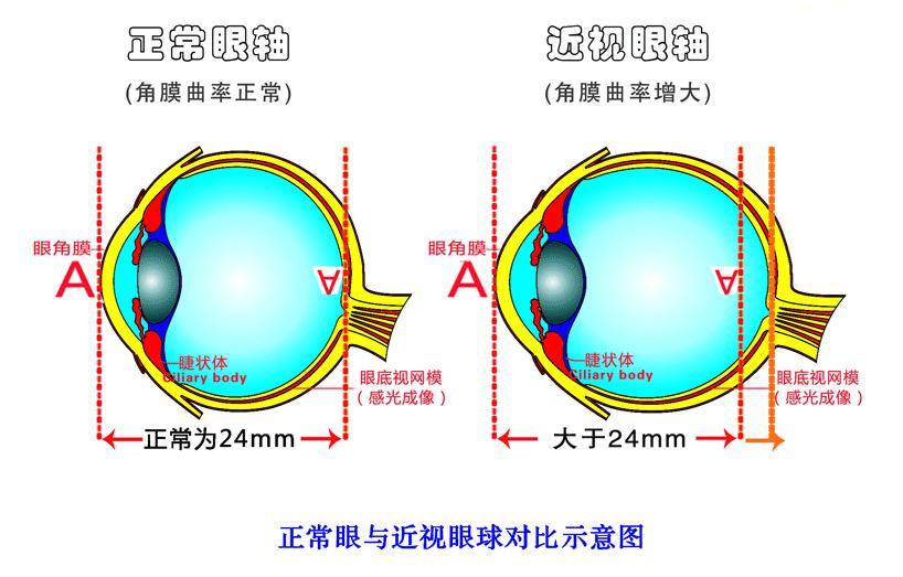 基于计算机视觉的多模态视觉疲劳检测系统docx(图1)